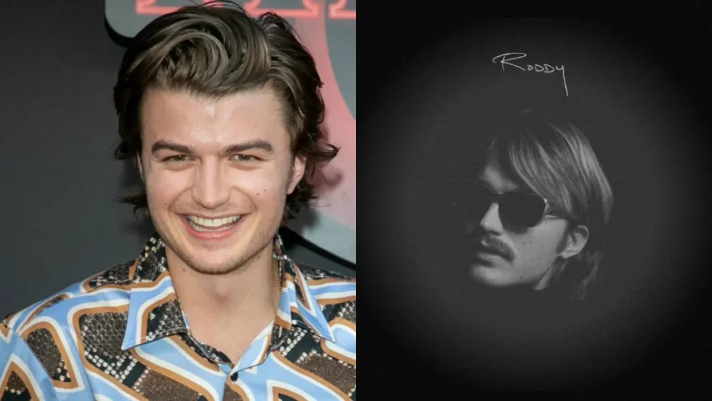 Joe Keery End of Beginning